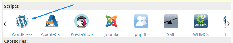 WordPress icon